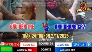 Trận 24 TonHon 2/11/2025 - Anh Gấu Bến Tre Gặp Anh Khang CR7