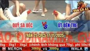 Trận 25 CPC5 17/11/2025 - Mẻ Gà Úa Anh Quý Sa Đéc Đâm Cựa Quá Hay