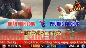 Trận 25 CPC5 18/11/2025 - Gà Điều Anh Nhân Đứng Nuốt Ói Lụm Tiền