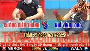 Trận 25 CPC5 9/11/2025 - Anh Cường Diễn Thành Và Anh Nhí Vĩnh Long