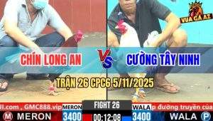 Trận 26 CPC6 5/11/2025 - Bướm Đâm Gà Điều Anh Chín Chạy La Làng
