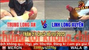 Trận 27 CPC5 10/11/2025 - Anh Trung Long An Và Anh Linh Long Xuyên