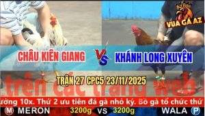 Trận 27 CPC5 23/11/2025 - Gà Cú Anh Khánh Bắt Hụt Bướm, Bị Đá Bay Bồ