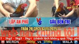 Trận 28 CPC5 6/11/2025 - Điều Vàng Anh Gấu Có Chân Xạo Lờ Cứu Chủ