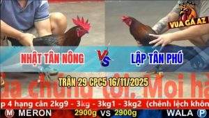 Trận 29 CPC5 16/11/2025 - Anh Nhật Tận Nông Và Anh Lập Tân Phú