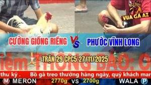 Trận 29 CPC5 27/11/2025 - Điều Phá Đôi Đâm Bướm Ói Đen Đầu