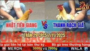 Trận 29 CPC5 7/11/2025 - Anh Nhật Tiền Giang Và Anh Thanh Rạch Giá