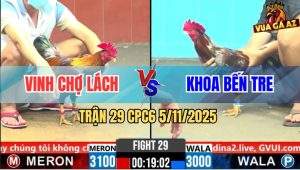 Trận 29 CPC6 5/11/2025 - Gà Xám Mồng Lá Anh Khoa Chưa Đá Đã Chạy