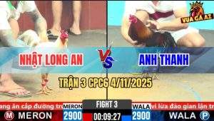 Trận 3 CPC6 4/11/2025 - Xanh Đá Mấy Chân Bị Úa Kẹp Lại Bay Bồ Hông Kịp