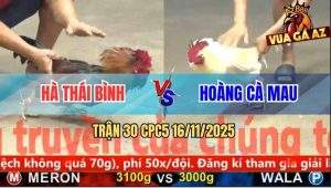 Trận 30 CPC5 16/11/2025 - Anh Hà Thái Bình Và Anh Hoàng Cà Mau