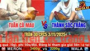 Trận 30 CPC5 3/11/2025 - Anh Tuân Cà Mau Và Anh Thành Sóc Trăng