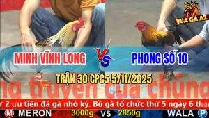 Trận 30 CPC5 5/11/2025 - Anh Minh Vĩnh Long Và Anh Phong Số 10
