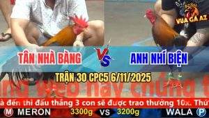 Trận 30 CPC5 6/11/2025 - Điều Lá Dí Gà Que Nhí Biện Chạy Bay Bồ
