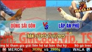 Trận 31 CPC5 17/11/2025 - Khét Cọp Anh Dũng Đâm Không Trượt Phát Nào