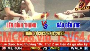 Trận 31 CPC5 6/11/2025 - Đỏ Bay Qua Chà Cây Lưng Lụm Tiền Anh Gấu