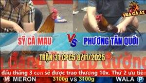 Trận 31 CPC5 8/11/2025 - Anh Sỹ Cà Mau Và Anh Phương Tân Quới