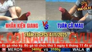 Trận 32 CPC5 4/11/2025 - Anh Nhân Kiên Giang Và Anh Tuấn Cà Mau