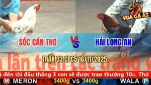 Trận 33 CPC5 16/11/2025 - Anh Sóc Cần Thơ Và Anh Hải Long An