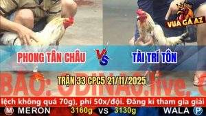 Trận 33 CPC5 21/11/2025 - Anh Phong Tân Châu Và Anh Tài Trí Tôn