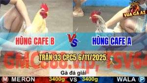Trận 33 CPC5 6/11/2025: Gà Nhà Gặp Gà Nhà – Thắng Thua Cũng Là Một Nhà