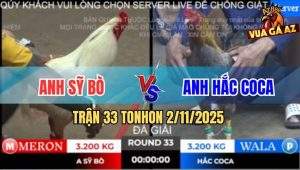 Trận 33 TonHon 2/11/2025 - Anh Sỹ Bò Gặp Anh Hắc CoCa