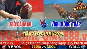 Trận 34 CPC5 7/11/2025 - Anh Gió Cà Mau Và Anh Vĩnh Đồng Tháp