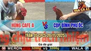 Trận 35 CPC5 20/11/2025 - Anh Hùng Cafe Gặp Anh Cọp Bình Phước