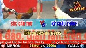 Trận 36 CPC5 16/11/2025 - Anh Sóc Cần Thơ Và Anh Xý Châu Thành
