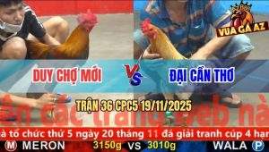 Trận 36 CPC5 19/11/2025 - Camelo Anh Đại Chặn Chân Gà Điều Đứt Phim