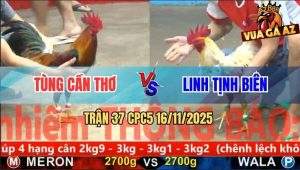 Trận 37 CPC5 16/11/2025 - Anh Tùng Cần Thơ Và Anh Linh Tịnh Biên