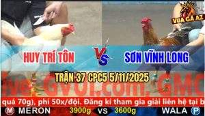 Trận 37 CPC5 5/11/2025 - Anh Huy Trí Tôn Và Anh Sơn Vĩnh Long