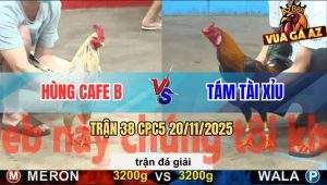 Trận 38 CPC5 20/11/2025 - Anh Hùng Cafe B Gặp Anh Tám Tài Xỉu