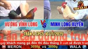 Trận 4 CPC5 10/11/2025 - Anh Vương Vĩnh Long Và Anh Minh Long Xuyên