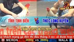 Trận 4 CPC5 18/11/2025 - Bướm Canh Chặn Hay Hạ Gà Cú Ngay Chân Đầu