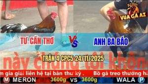 Trận 4 CPC5 24/11/2025 - Điều Đỏ Tiễn Gà Anh Ba Báo Về Miền Đất Hứa
