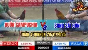 Trận 4 TonHon 28/11/2025 - Anh Đuôn Và Anh Sang Bất Phân Thắng Bại