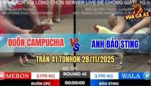 Trận 41 TonHon 28/11/2025 - Bướm Hiệu Bảo Sting Bón Hàng Điều Anh Đuôn