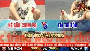 Trận 46 CPC5 20/11/2025 - Chung Kết 2: Kẻ Săn Chim Và Anh Tài Trí Tôn
