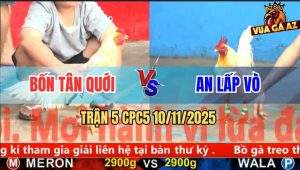 Trận 5 CPC5 10/11/2025 - Anh Bốn Tân Quới Và Anh An Lấp Vò