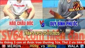 Trận 5 CPC5 25/11/2025 - Camelo Anh Hào Châu Đốc Chưa Kịp Đá Đã Bay Bồ