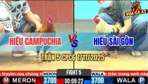 Trận 5 CPC6 1/11/2025 - Mẻ Chuối Hiệu Anh Phú Đá Không Kịp Tha Lơ