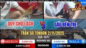 Trận 50 TonHon 2/11/2025 - Anh Duy Chợ Lách Gặp Anh Gấu Bến Tre