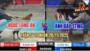 Trận 56 TonHon 28/11/2025 - Bảo Sting Rớt Nài Với Anh Tèo Bảo Lộc