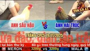 Trận 6 CPC5 19/11/2025 - Úa Cúp Độ Anh Sáu Hậu Đâm Cựa Như Chỉa