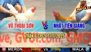 Trận 6 CPC5 7/11/2025 - Anh Vũ Thoại Sơn Và Anh Nhật Tiền Giang