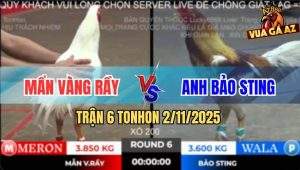 Trận 6 TonHon 2/11/2025 - Camelo Bảo Sting Dính Chân Xui Bị Phản 5 Lai