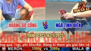Trận 7 CPC5 16/11/2025 - Anh Hoàng Gò Công Và Anh Ngà Tịnh Biên