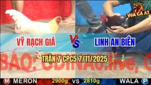 Trận 7 CPC5 7/11/2025 - Anh Vỹ Rạch Giá Và Anh Linh An Biên