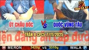 Trận 8 CPC5 7/11/2025 - Anh Út Châu Đốc Và Anh Anh Quốc Vũng Tàu