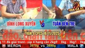 Trận 9 CPC5 18/11/2025 - Gà Bướm Anh Bình Đâm Gà Điều Không Kịp Thở